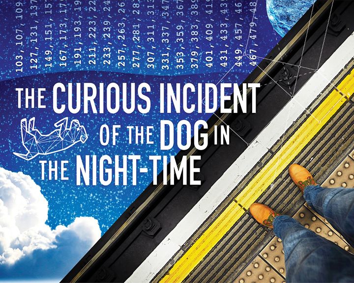 the incident of the curious dog in the nighttime