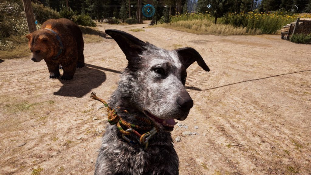 Review: FAR CRY 5 - Cougars & Boomers & Bears, High Five! PS4, Xbox One ...