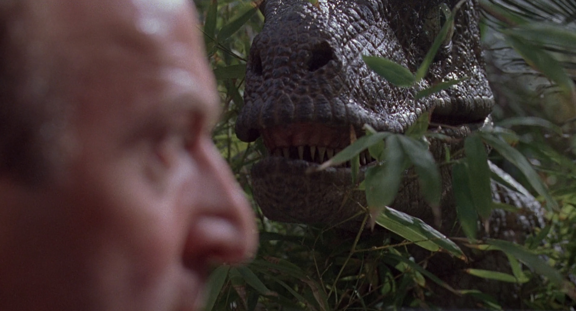 Jurassic Park Turns 27 A Look Back At The Film And Its Horror Roots Review St Louis 