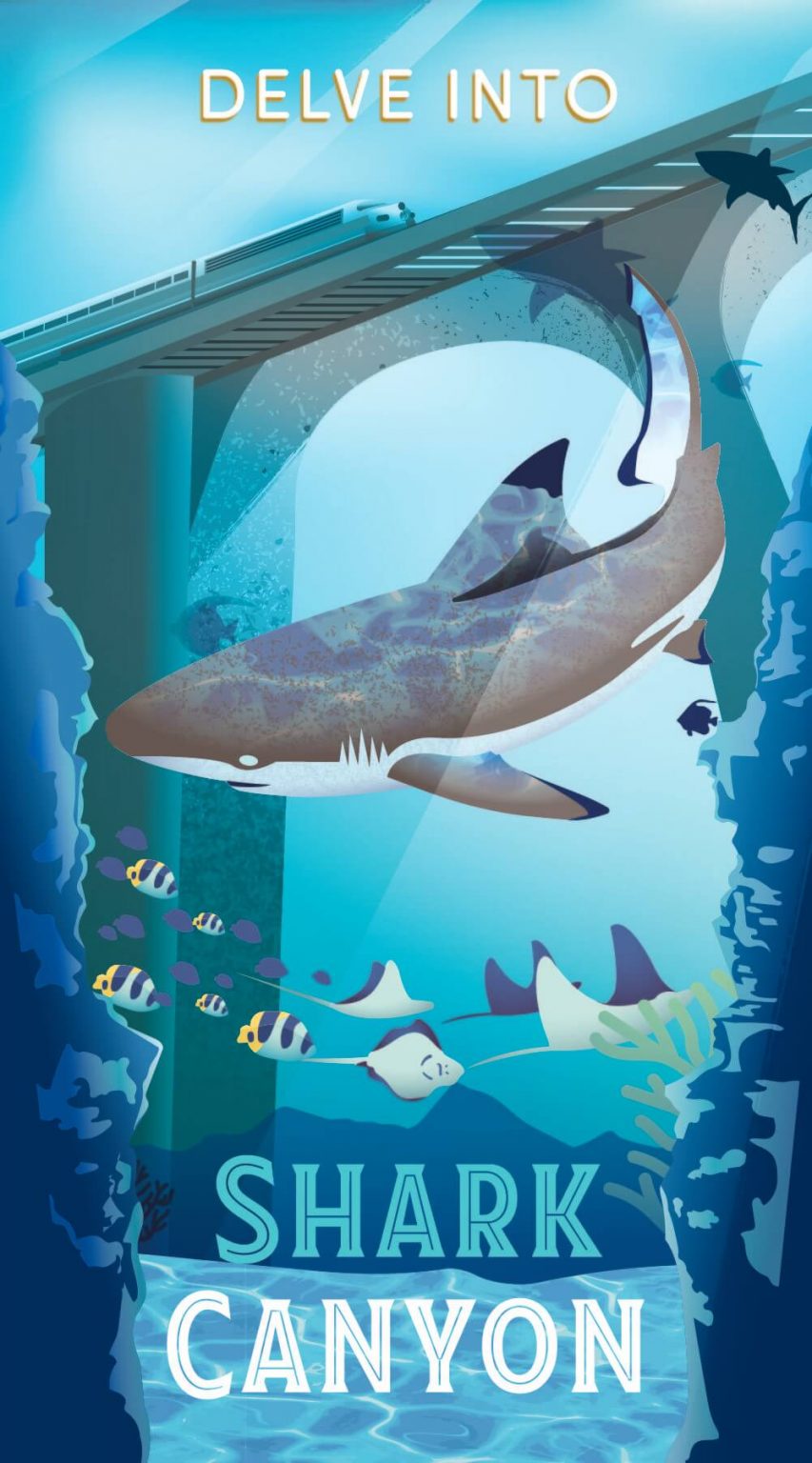 Celebrate Shark Week at the St. Louis Aquarium at Union Station ... - Stl Aquarium Shark Canyon 853x1536