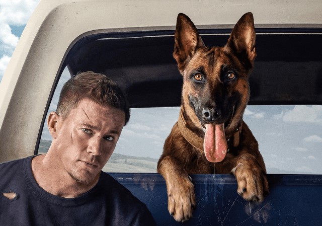 Review: DOG Starring Channing Tatum, Q’orianka Kilcher, Emmy Raver ...