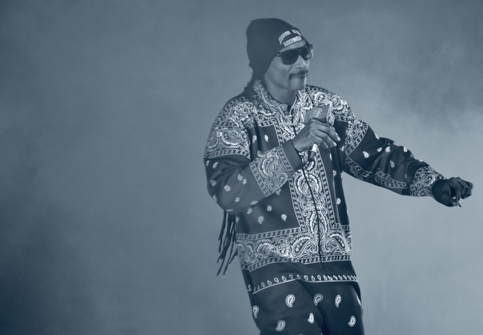 Concert Photos Snoop Dogg at Family Arena Review St. Louis